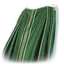 Setram Cloak