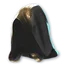 Linx Helm
