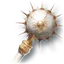 Black Claw Staff
