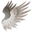 Intermediate Daeva Wings