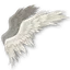 Lesser Daeva Wings