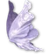 Violet Butterfly Wings