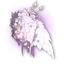 Starjewel Symphony Wings