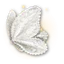 White Lace Wings