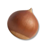 Chestnut