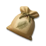 Semilla de pino