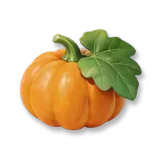Pumpkin
