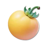 Vitae Fruit